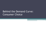 Behind the Demand Curve: Consumer Choice