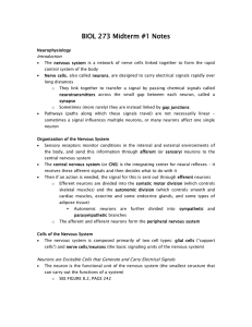 BIOL 273 Midterm #1 Notes