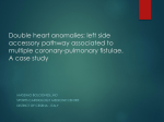 Double-heart-anomalies-left-side-accessory-pathway-associated