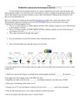 WEBQUEST: Light and the Electromagnetic