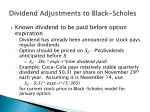 Option Price and Portfolio Simulation