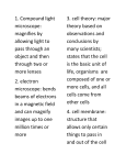 Science-vocab - Mary Immaculate School