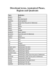 Directional terms, Anatomical Planes, Regions and Quadrants