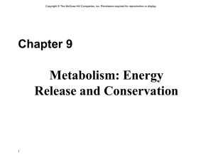 Electron transport chain…