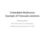 Embedded Multicores Example of Freescale solutions