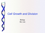 3-cell-cycle-and-division-mitosis-16-17