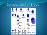 Blood Cells