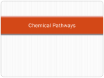 Chemical Pathways