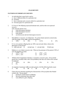 exam review - TDSB School Websites