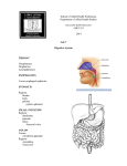 Digestive System Notes