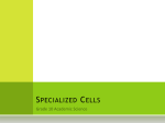 Specialized Cells