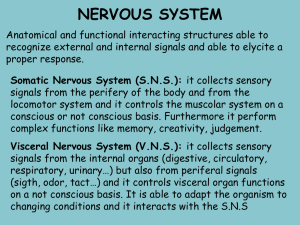 Visceral Nervous System