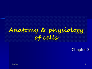 Cell Structure and Function