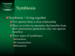 Symbioses