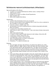 Micro Case 52-Schistosoma mansoni.doc