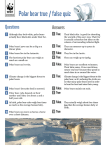 Polar bear true / false quiz