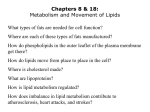 acetyl CoA + HCO3