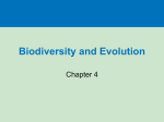 Biodiversity and Evolution