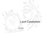 Lecture Slides for Fatty Acid Catabolism