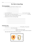 Cell Notes