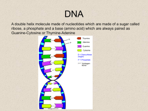 The chromosomal theory of inheritance