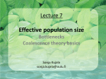 Lecture 7 Effective population size Linkage disequilibrium basics