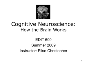 02_Neuroscience