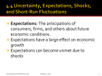 Demand shocks