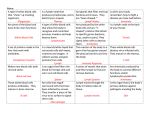 White Blood Cells