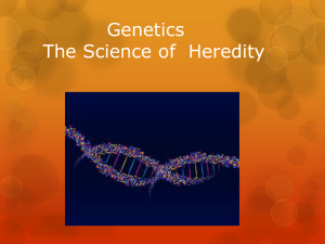 Genetics - Copy