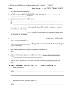 cell_structure_and_function_assignment_questions_value_55