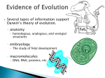 Evidence of Evolution