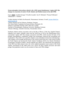 Ocean-atmosphere interactions related to the AMO caused