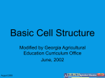 AG-PSB-02.441-04.4p Basic_Cell_Structure