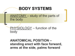 BODY SYSTEMS