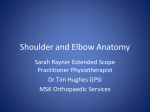 Shoulder Anatomy