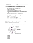 Mitosis and Meiosis Pre-Test