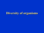 Diversity of organisms