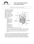 Colon and Rectal Cancer (Colorectal Cancer)