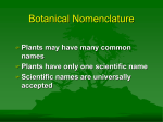 Botanical Nomenclature