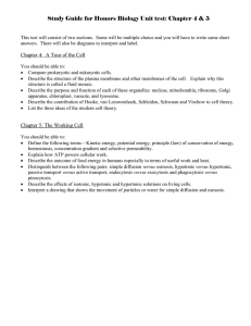 Study Guide - Southington Public Schools