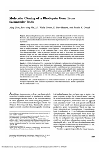 Molecular cloning of a rhodopsin gene from salamander rods.