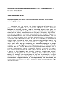 Impairment of glutamine/glutamate-‐γ