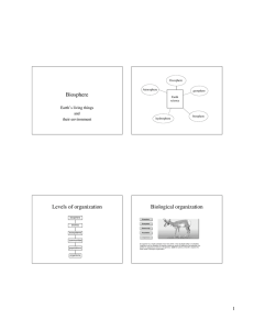 Biosphere Levels of organization Biological organization