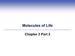 Molecules of Life