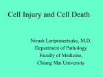 Cell Injury and Cell Death