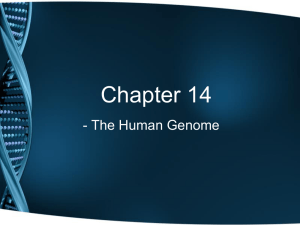 Ch 14 Notes - The Human Genome