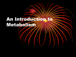 An Introduction to Metabolism