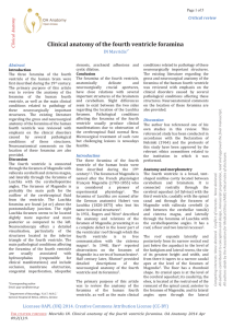 Clinical anatomy of the fourth ventricle foramina