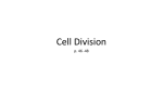 Cell Division